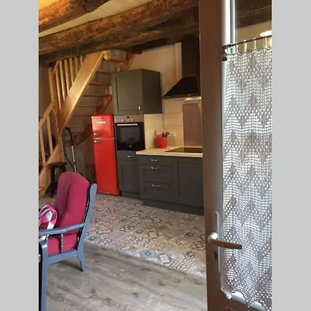 Le Chardon Des ânes *